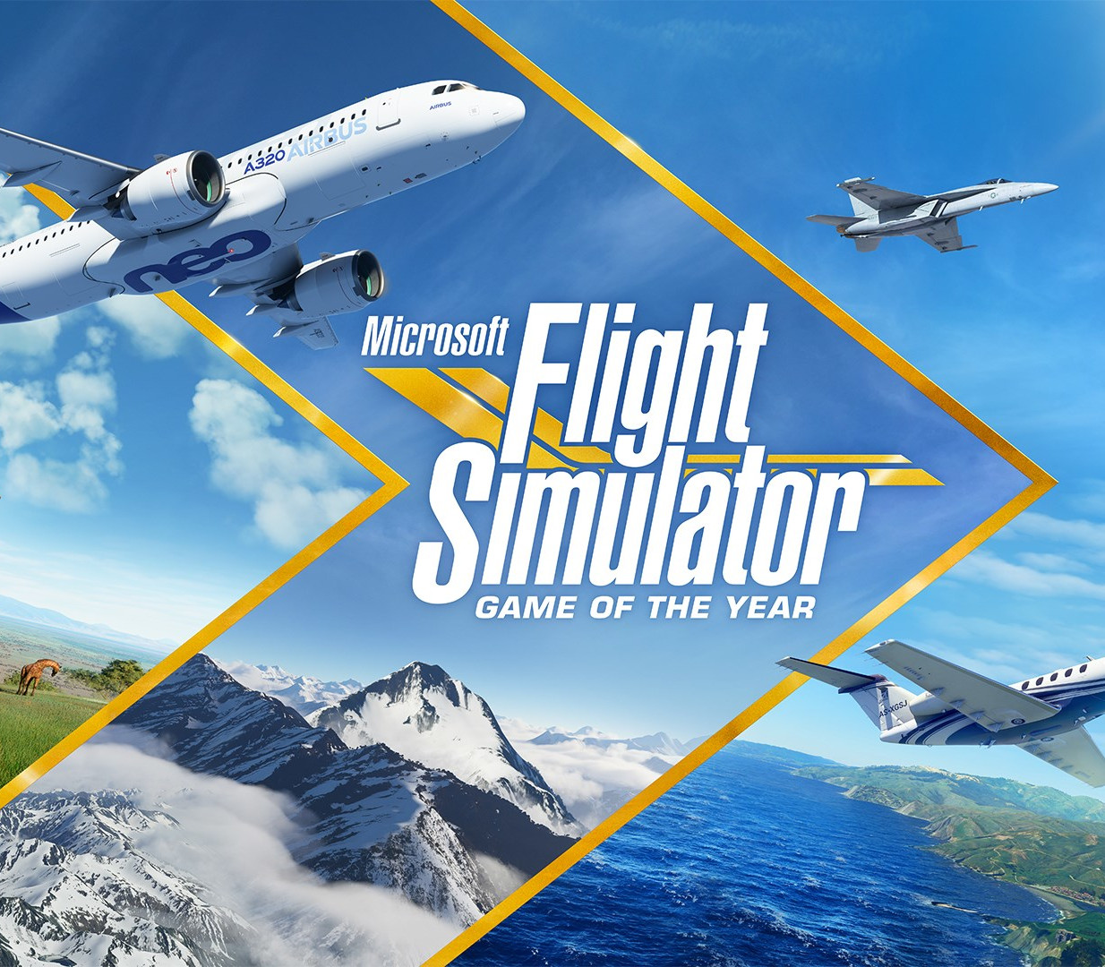 Microsoft Flight Simulator Standard Game of the Year Edition cover art