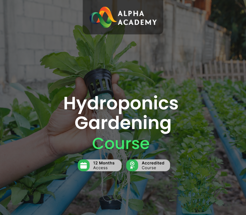 Hydroponics Gardening Online Course Alpha Academy cover art
