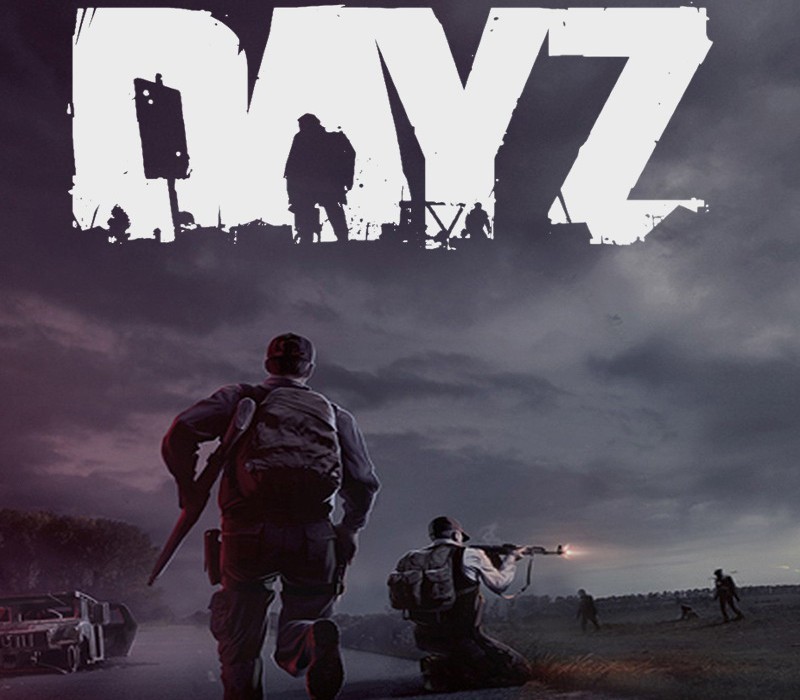 DayZ PS4/PS5 Access cover art