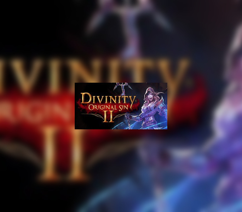 Divinity: Original Sin 2 cover art