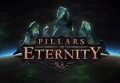 Pillars of Eternity Definitive Edition cover art