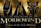 The Elder Scrolls III Morrowind GOTY cover art