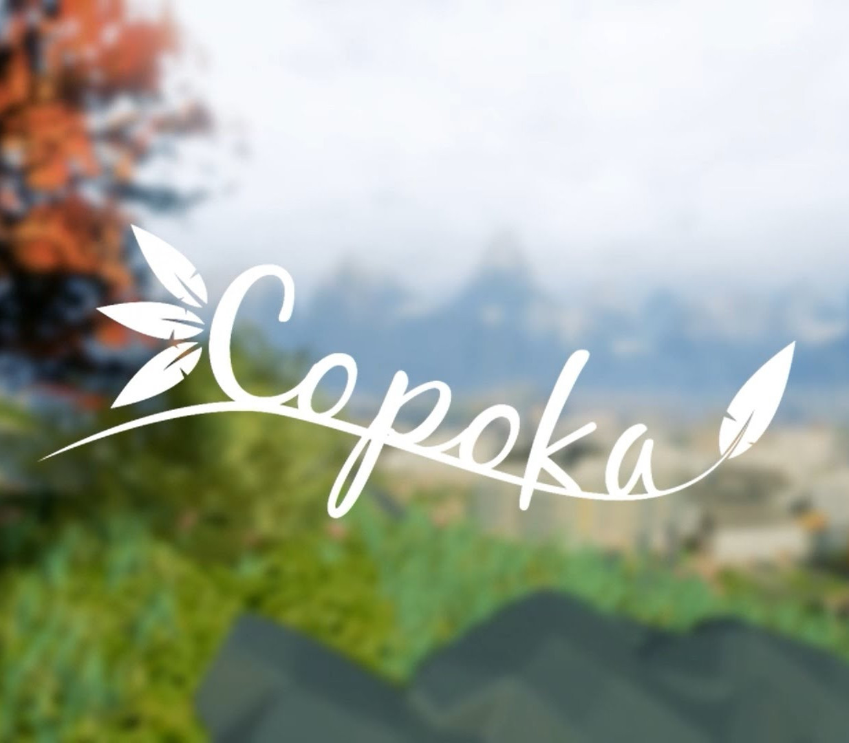 Copoka cover art
